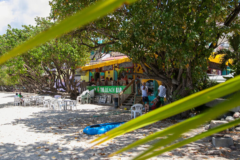The Beach Bar, bar in St. John, US Virgin Islands